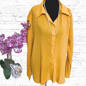 NWT DRESSY CUTE  shirt